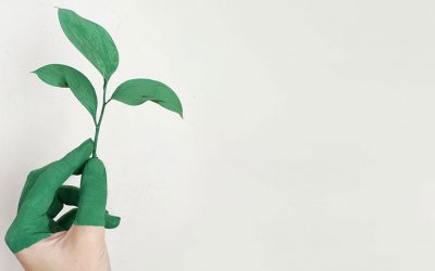 Impresión y sostenibilidad ¿Es posible?